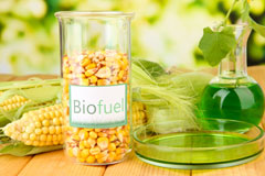 Blaenau Gwent biofuel availability